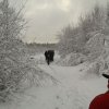 winterwanderung2016_11