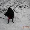 Winterwanderung_2013_19